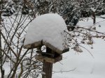 Winterimpressionen 2010 10.JPG