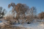 Winter 1.JPG