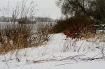 Winter 3.JPG