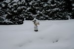 Winter 10.JPG