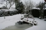 Winter 11.JPG