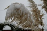 Winter 14.JPG