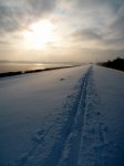 3. Januar_zwei Spuren im Schnee.jpg