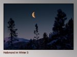 Halbmond-im-Winter-3.jpg