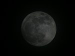IQ3M9452_29-01-2010_Vollmond.JPG
