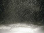 IMG_2847.jpg