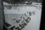 IQ3M9846_11-02-2010_Schnee.JPG