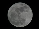 IQ3M1027_28-02-2010_Vollmond.JPG