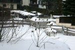 IQ3M2104_17-03-2010_Schnee.JPG IQ3M2104_17-03-2010_Schnee.JPG