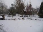 Dezember 2009 027 [1024x768].JPG