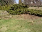 Foto0159.jpg