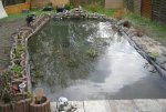 teich 1.jpg