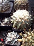 100_2447.jpg