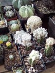 100_2448.jpg