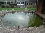 DSC00082.jpg