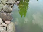 DSC00083.jpg