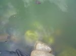 DSC00084.jpg
