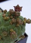 100_2724.JPG