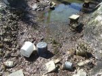 teich1.jpg