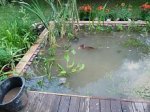 2009_06_14_1.jpg