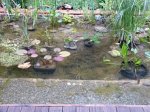 2009_07_08_1.jpg