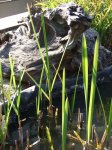 NeueAue2010_0424_175656.jpg