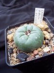 100_2894.jpg