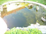 20100423 001.jpg 20100423 001.jpg