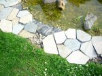 20100408 003.jpg