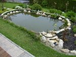 Teich 005.jpg