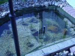 IMG_0005.jpg