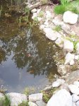 100_3142.jpg