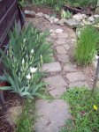100_3143.jpg