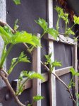 100_3151.jpg