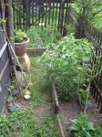 100_3152.jpg