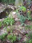 100_3155.jpg