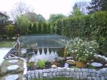 DSC00248.jpg