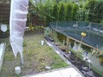 DSC00250.jpg