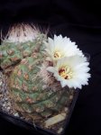100_3163.jpg