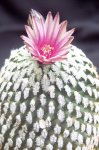 100_3176.JPG
