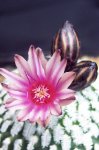 100_3181.JPG