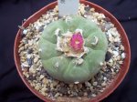 100_3182.jpg