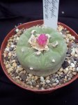 100_3183.jpg