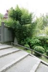 IQ3M5051_09-05-2010_Japangarten_Bambus-Eingang.JPG IQ3M5051_09-05-2010_Japangarten_Bambus-Eingang.JPG