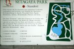 IQ3M5049_09-05-2010_Japangarten_Plan.JPG IQ3M5049_09-05-2010_Japangarten_Plan.JPG