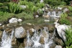 IQ3M4968_09-05-2010_Japangarten_Kaskade.JPG IQ3M4968_09-05-2010_Japangarten_Kaskade.JPG