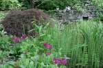 IQ3M4983_09-05-2010_Japangarten_Steinmauer.JPG IQ3M4983_09-05-2010_Japangarten_Steinmauer.JPG