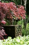IQ3M4988_09-05-2010_Japangarten_Wasserspiel.JPG IQ3M4988_09-05-2010_Japangarten_Wasserspiel.JPG