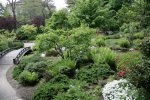 IQ3M5013_09-05-2010_Japangarten_Uebersicht.JPG IQ3M5013_09-05-2010_Japangarten_Uebersicht.JPG