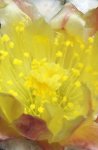 100_3185.JPG